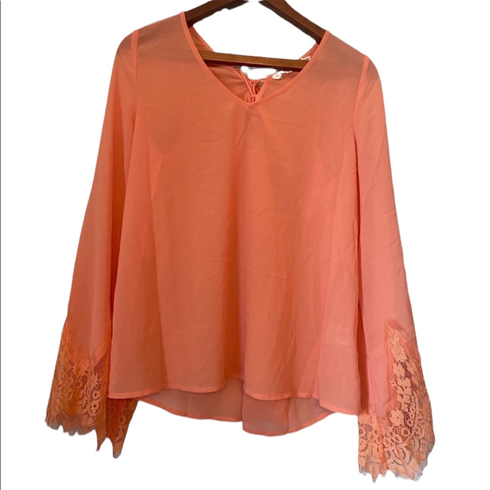 Blu Pepper Peach Sheer Long Sleeve Blouse